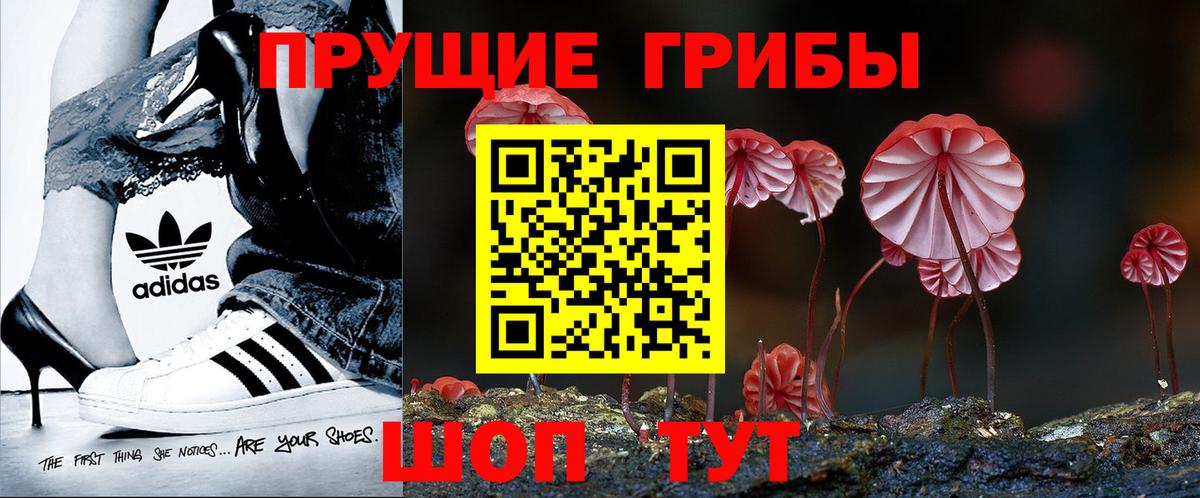 Сатка  Псилоцибиновые грибы Cubensis  Вход с VPN  Галлюциногенные грибы мухоморы 